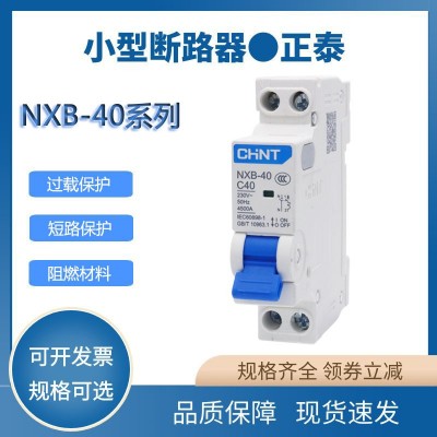 正泰双线空气开关nxb-40a单片2极断路器1p+n空开双进双出家用32a