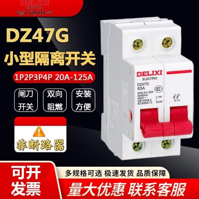 德力西小型隔离开关 DZ47G 1P2P3P4P 32A-100A隔离刀闸开关断路器图3