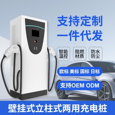 新能源电动汽车充电桩直流立式单双枪快充商用充电站比亚迪充电桩图2