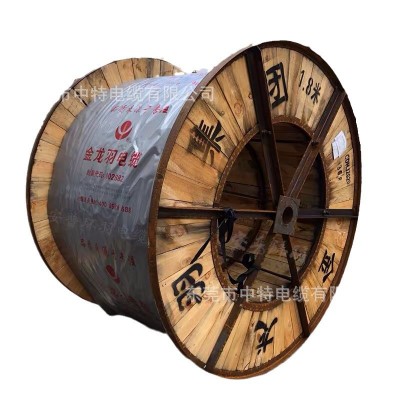 金龙羽正品电线电缆BVV10平方-300平方双塑铜芯电线散剪图5