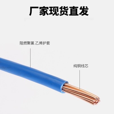 津成电线ZR-BV10/16平方铜芯阻燃国标10平方进户单芯进户线塑铜线
