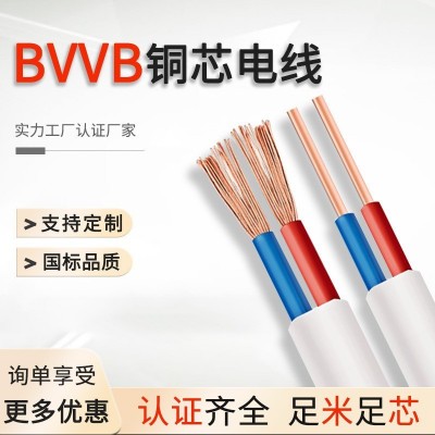 厂家 国标BVVB 0.75/1/1.5/2.5/4/6/10平方多股电线 扁护套平行线