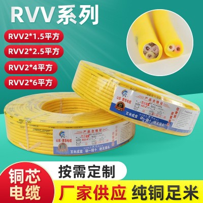 电线电缆RVV22.5平方家用电线铜芯足米批发电力防水无氧铜电缆