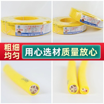 电线电缆RVV22.5平方家用电线铜芯足米批发电力防水无氧铜电缆图5
