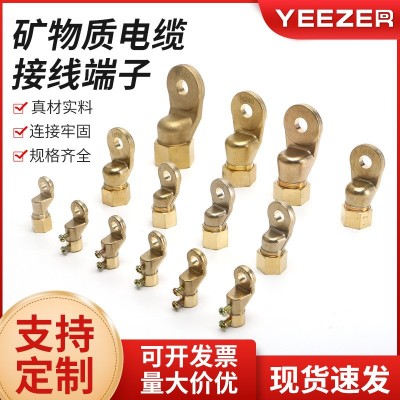 BTTZ矿物质电缆接线端子 矿用电缆接线铜鼻子 铜接线耳接地端子25