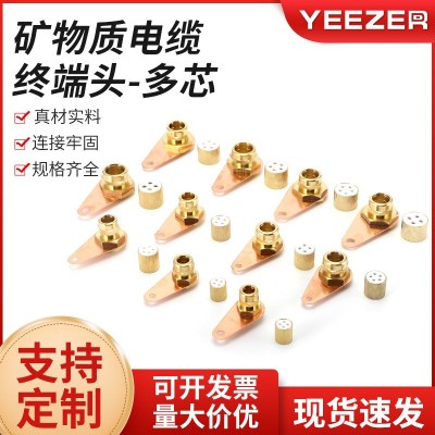 矿物质电缆终端头BTTZ接地卡BTTVZ防火电缆配件BTTYZ矿物终端现货