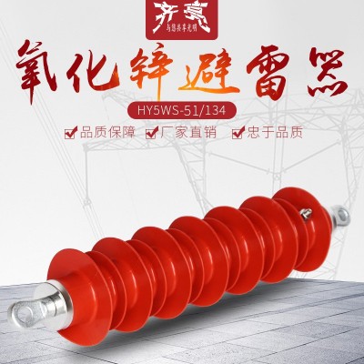 35kv成套高压避雷器HY5WS-51/134无间隙悬挂式氧化锌避雷器源头厂图3