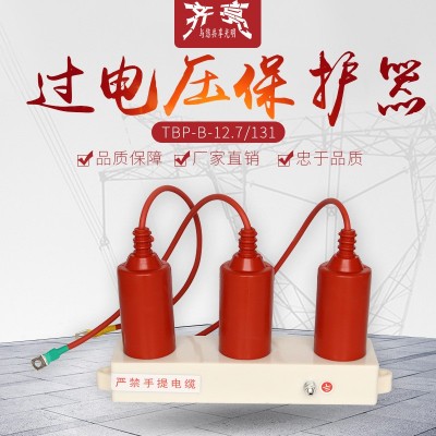10kv复合三相组合式过电压保护器成套柜用高压氧化锌避雷器厂家图2