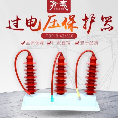 TBP-B-42/310高压柜三相组合式过电压保护器三相组合式避雷器35kv图2
