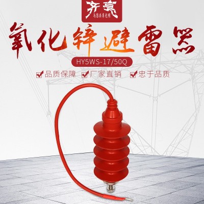 12KV复合绝缘高压避雷器HY5WS-17/50Q全绝缘氧化锌避雷器带线图3