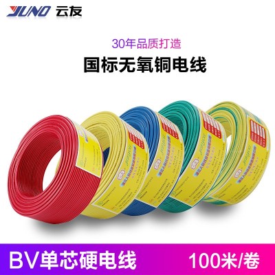 人民线缆 家用电线BV1平方国标单股铜芯电线 家装单芯硬铜线100米图2