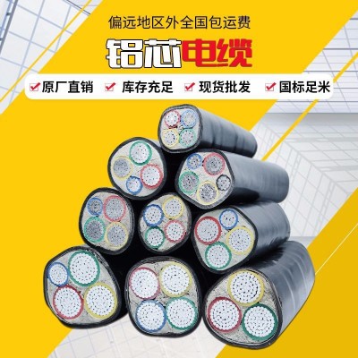 电缆线农网改造用2*10/16/25/35平方双芯防老化铝芯架空地埋电缆图2
