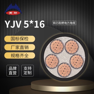 天环电缆 ZC-YJV5*16 低压电力电缆 国标铜芯阻燃5芯电缆图2