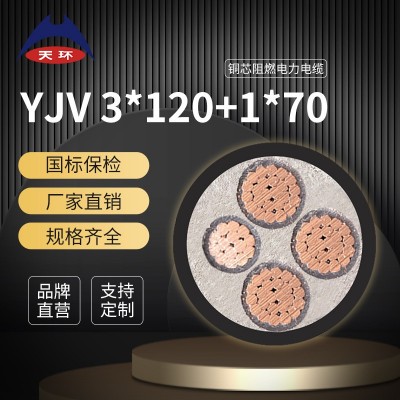 【国标保检】天环 动力电缆ZRC-YJV3*120+1*70平方铜芯阻燃电缆线图2