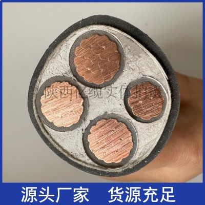 国标YJV铜芯2 3 4 5芯10 16 25 35平方电力电缆铠 装充电低压电线图4