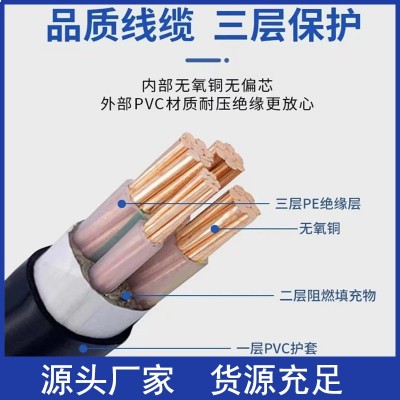 国标YJV铜芯2 3 4 5芯10 16 25 35平方电力电缆铠 装充电低压电线图2