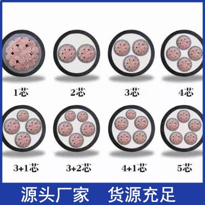 国标YJV22铜芯2 3 4 5芯10 16 25 35平方电力电缆铠 装充电电线架图2