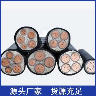 国标YJV22铜芯2 3 4 5芯10 16 25 35平方电力电缆铠 装充电电线架图4