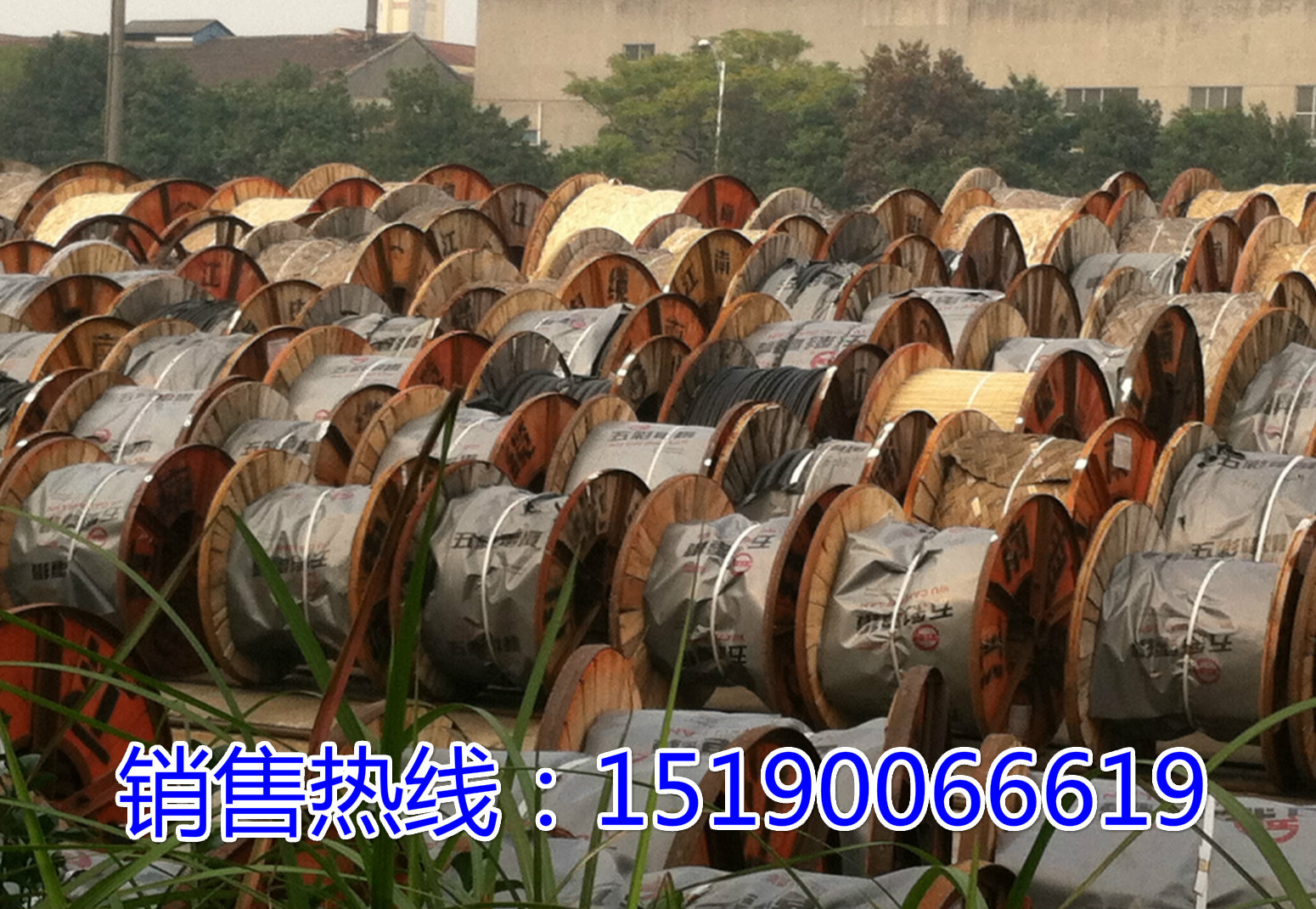 照片 092_meitu_4