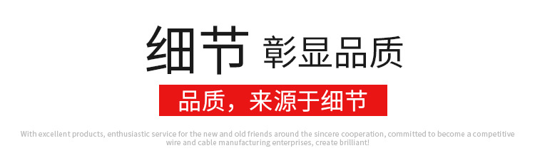 BV电缆