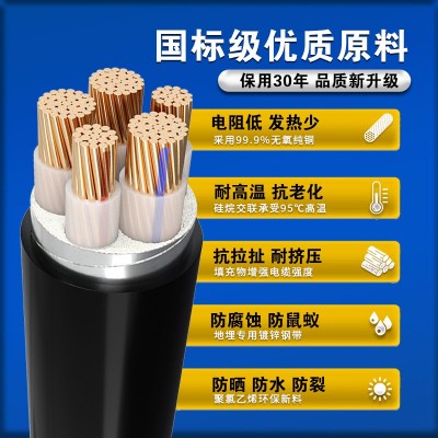 国标YJV铜电缆线2 3 4 5芯10 16 25 35平方三相铜芯铠装电缆线