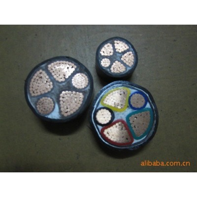信牌电缆 深圳总经销商电话0755-25696062图3