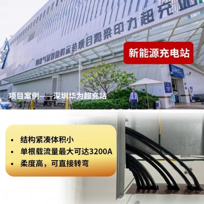 新能源通用型柔性母线 低压大电流 IP68防护等级 电流200-6300A图2
