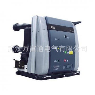 VL-24E/1250-31.5W AEG真空断路器图3