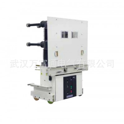 VL-24E/1250-31.5W AEG真空断路器图5