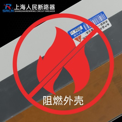 上海人民3相4线漏电保护2p带漏保40a断路器DZ15LE空开100/290塑壳图4