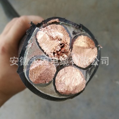 厂家直销 BPYJVP-3*185+1*95国标现货变频电缆极速发货变频电机专图2