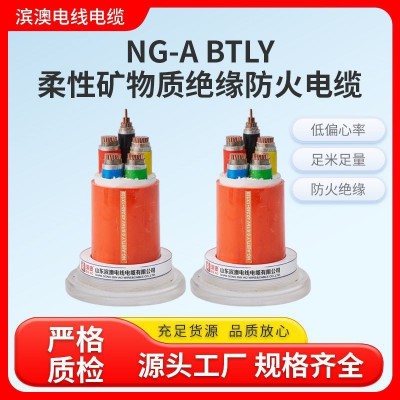源厂家直供 纯铜芯 国标防火电缆 NG-A BTLY 多型号足 米全检