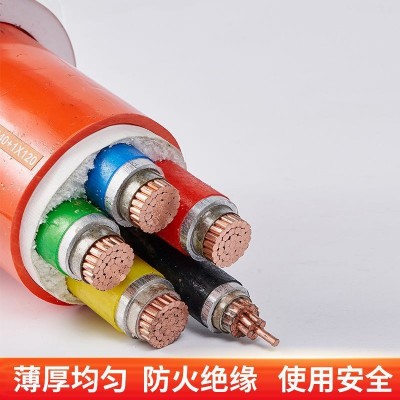 源厂家直供 纯铜芯 国标防火电缆 NG-A BTLY 多型号足 米全检图4