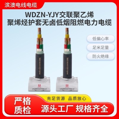 WDZN-YJFY交联聚乙烯聚烯烃护套无卤低烟阻燃电力电缆图3