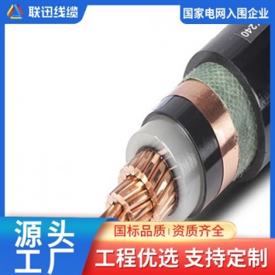 电力电缆 阻燃电缆线 WDZNYJV 沈阳电缆厂家 联迅线缆 支持定制图3