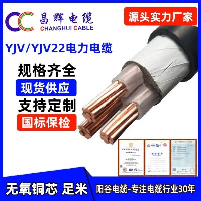 厂家供应阳谷国标5芯电缆线 YJV5*16平方电力电缆YJV5*10铜芯电缆图2