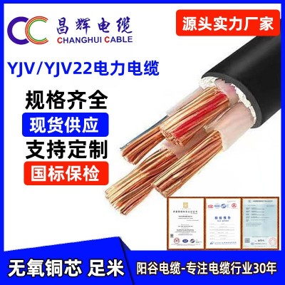 厂家供应阳谷国标5芯电缆线 YJV5*16平方电力电缆YJV5*10铜芯电缆图4