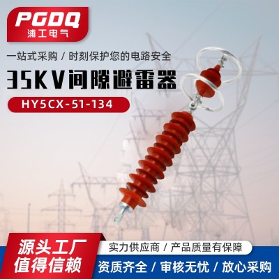 35KV间隙避雷器HY5CX-51-134悬挂式氧化锌避雷器35KV线路型 HY5CX-