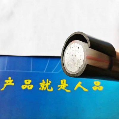 厂家定制ZC-YJLV电力电缆 铝芯电缆 电力工程电缆 国标电缆图3