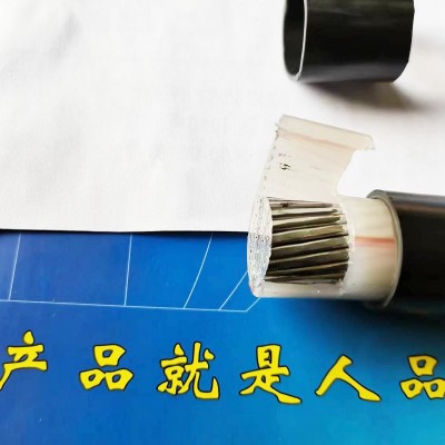 厂家定制ZC-YJLV电力电缆 铝芯电缆 电力工程电缆 国标电缆图2