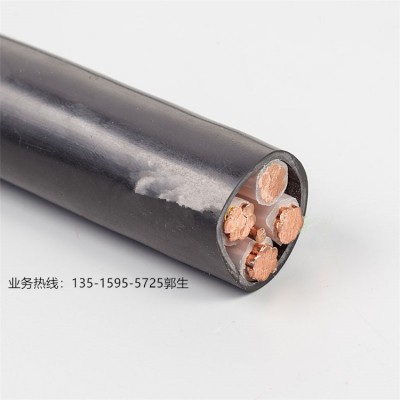 厂家直销福建南平太阳牌国标光伏电缆足铜芯YJV-4*25现货批发图5