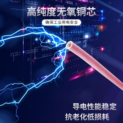 重庆三峡电线电缆批发低烟无卤耐火电线WDZBN-BYJ现货图3