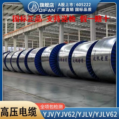 起帆单芯中高压电力电缆YJV/YJLV/YJV62/YJLV62 8.7/15KV-26/35KV图5