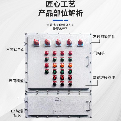 BXMD防爆配电箱IIBIIC配电柜控制箱检修PLC IP65铝合金不锈钢材质图3