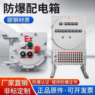 BXMD防爆配电箱IIBIIC配电柜控制箱检修PLC IP65铝合金不锈钢材质图2