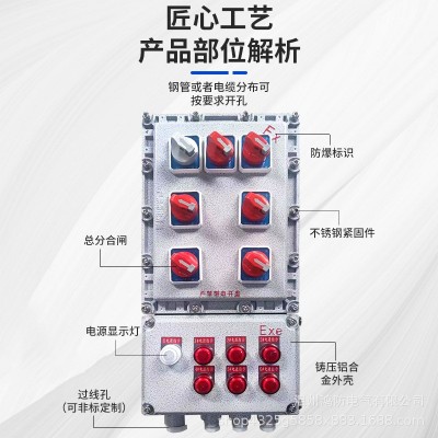 防爆照明动力配电箱BXMDIIBIICIP65防爆配电装置铝合金不锈钢材质图2
