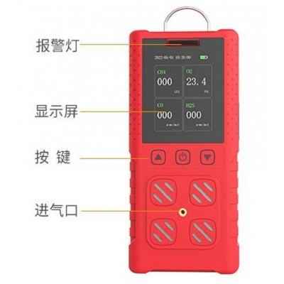 便捷式气体检测仪（原型号DR-850） 型号:DR03-BTQ-DR850图5