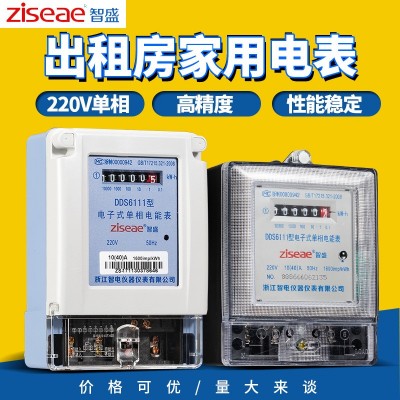 智盛电子式单相电能表单项220v出租房20a家用40a高精度单相电表图2
