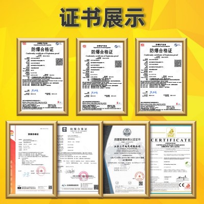 电伴热带温度控制箱1-4回路数字显示控制箱非标防爆多路温控箱图4