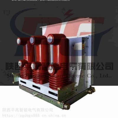 陕西平高VPG-12系列户内10kv户内高压真空断路器手车式.固定式.侧装式.永磁式.固封极柱式图4